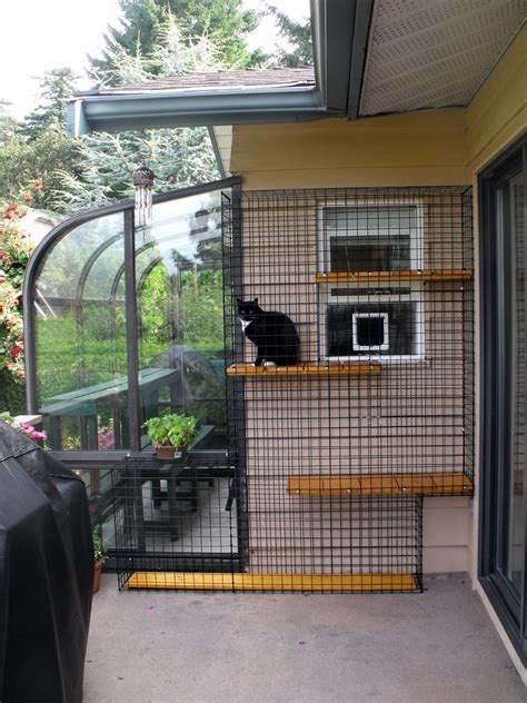 Why enclosed outdoor cat areas, or catios, might be what you and your pet need